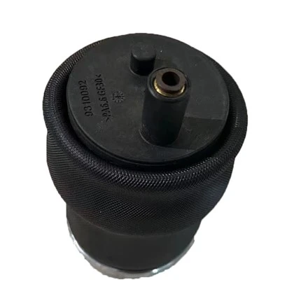 Para Renault Kerax Truck Shock Absorvedor 5010130797 com garantia de qualidade para Renault Truck Premium Magnum Midlum Kerax